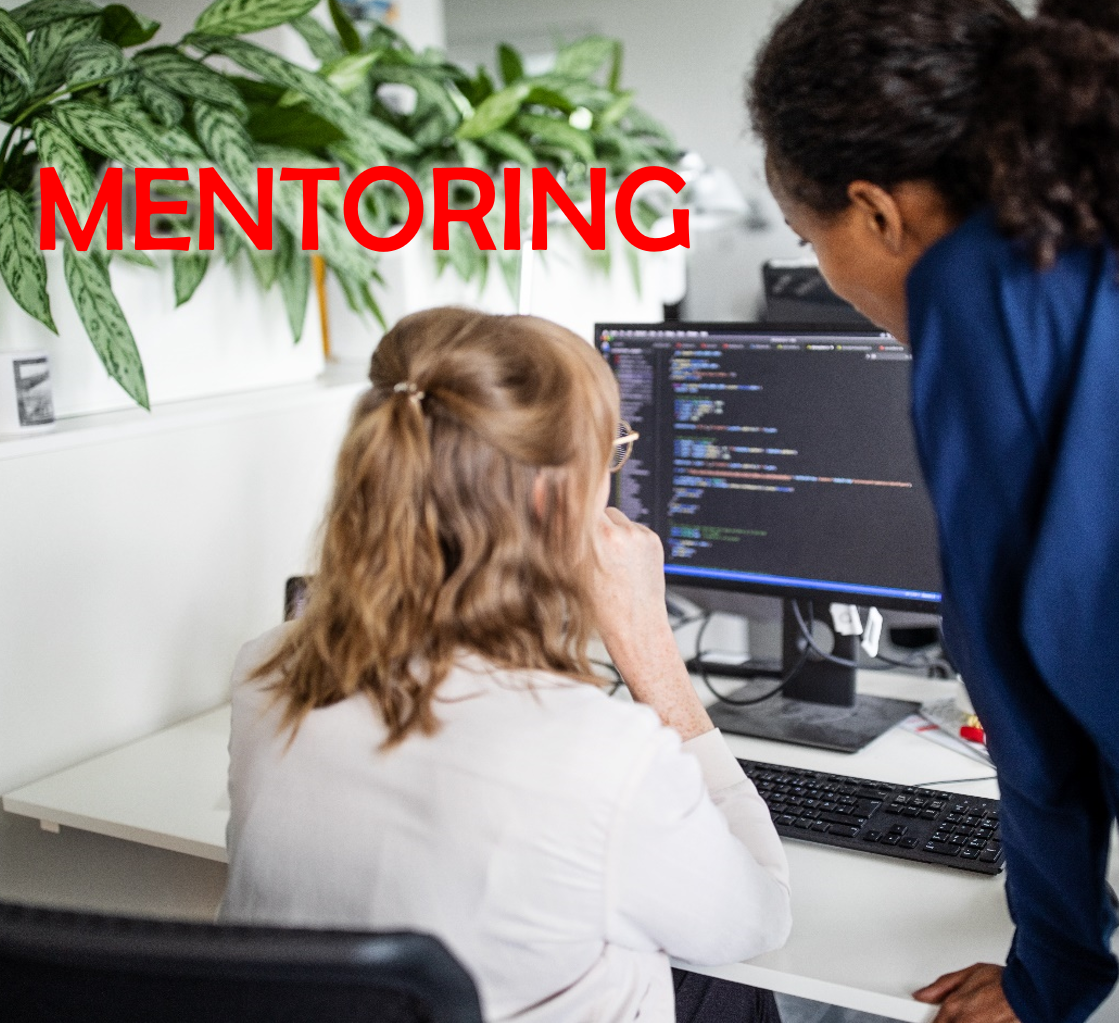 20% Off Mentoring Services