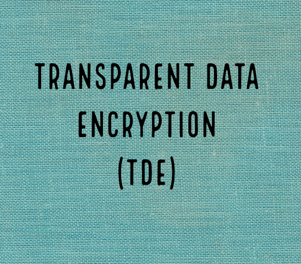 Transparent Data Encryption (TDE) on SQL Server 2019 Standard Edition